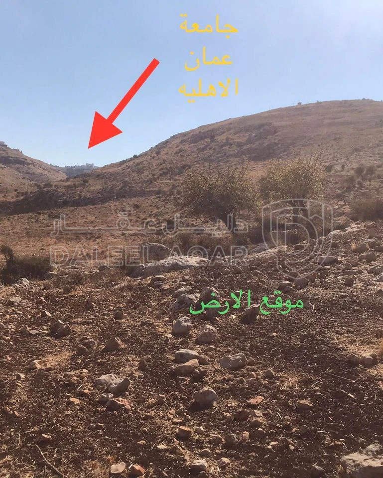 أرض في اليزيديه خلف الجامعه - 100,000 دأ - صورة 1